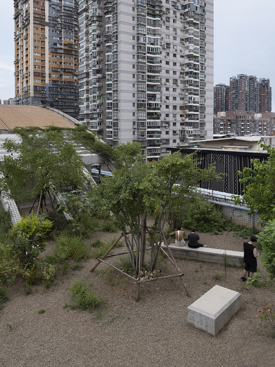 dvln park by devolution