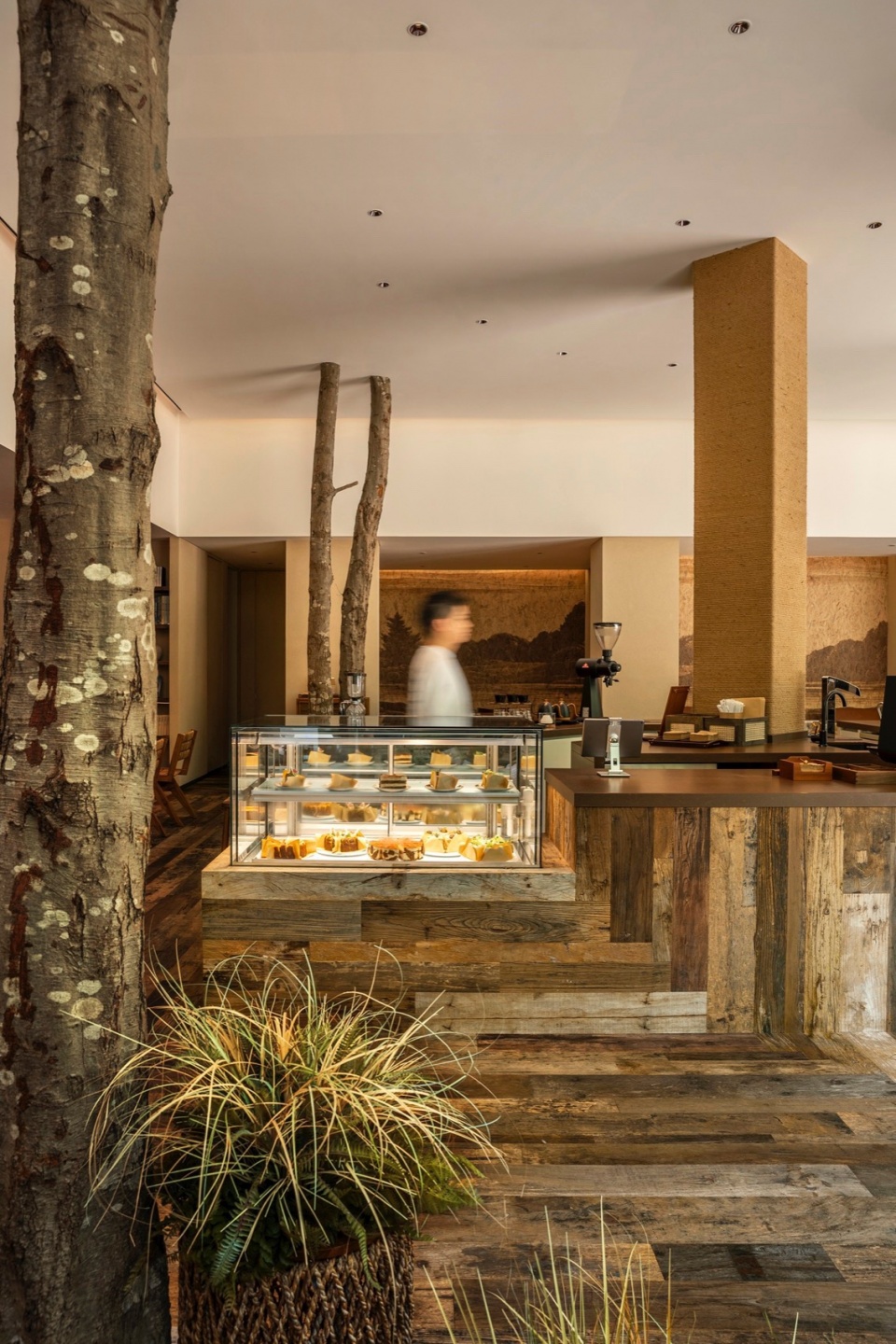 mr walden coffee by pure wild studio