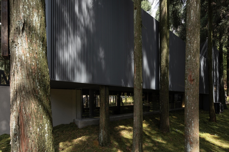 moj forest coffee by sisuo design