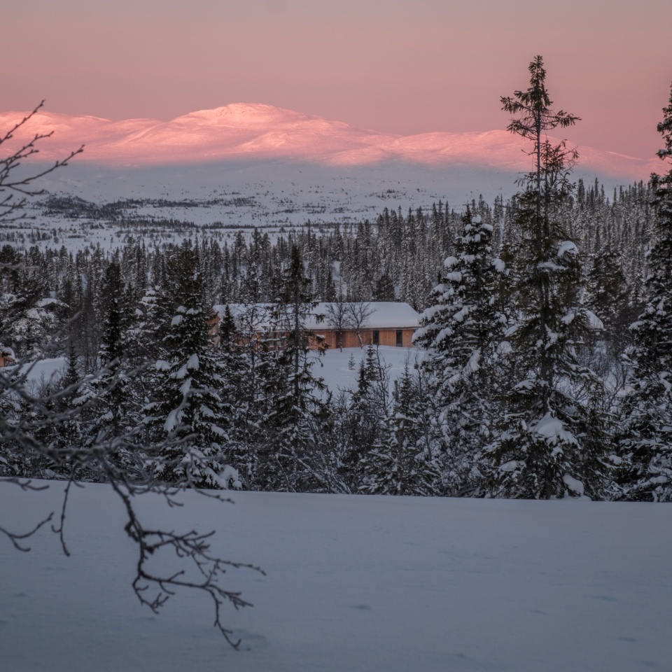 mountain cabin in hallandsfjell by quentin desfarges