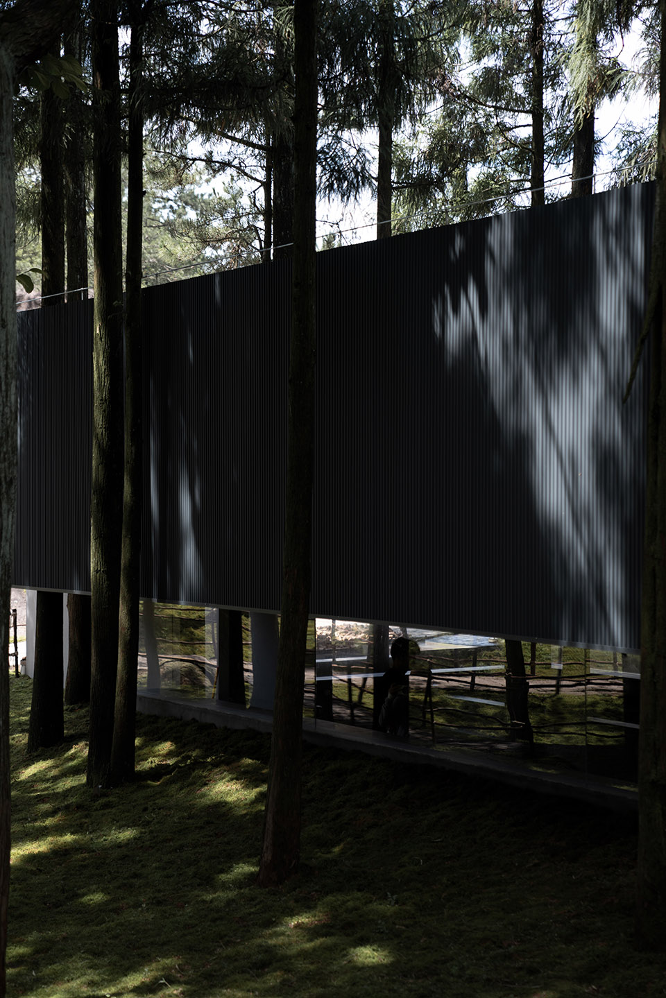 moj forest coffee by sisuo design