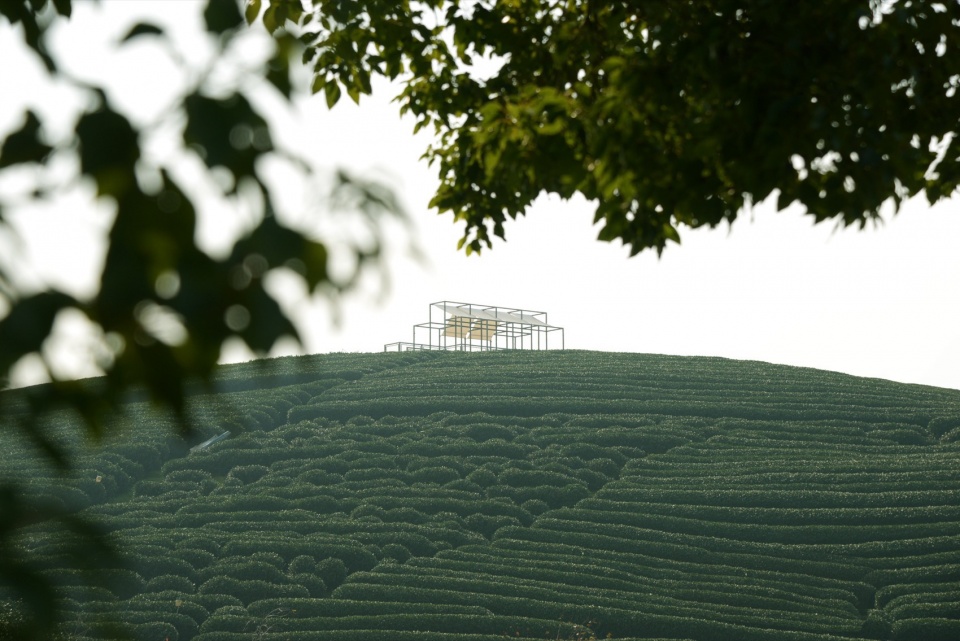 a floating pavilion on a tea mountain by youmu architects