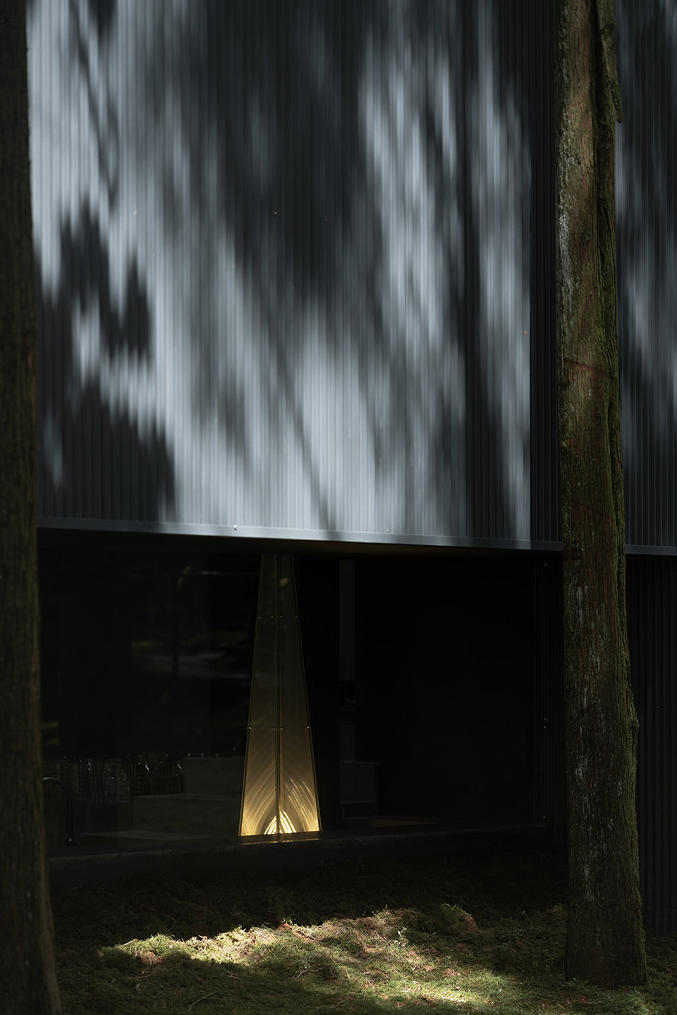 moj forest coffee by sisuo design