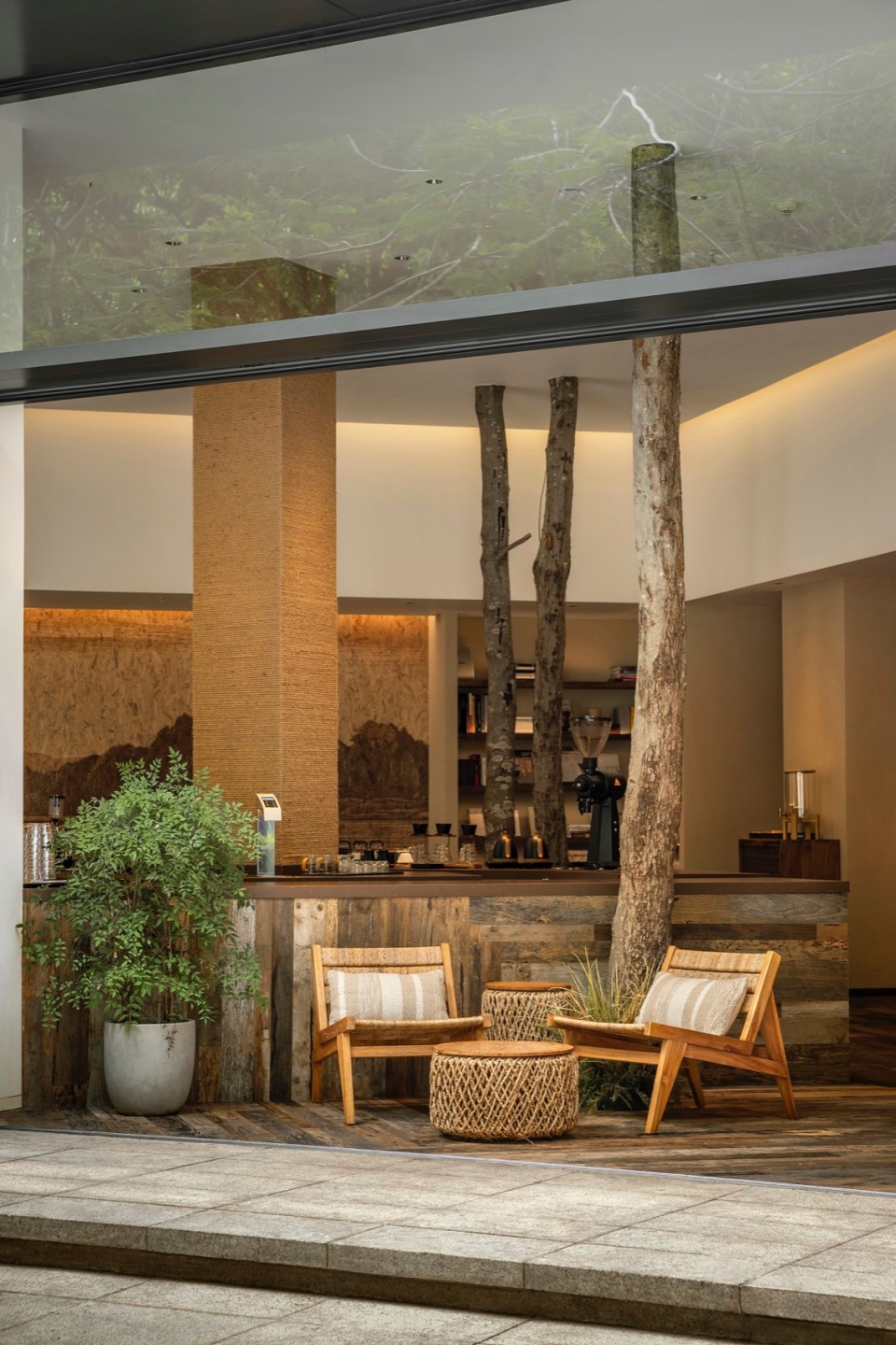 mr walden coffee by pure wild studio