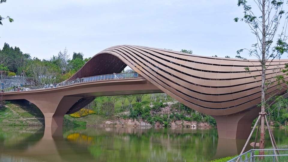 The Woven Bamboo Bridge