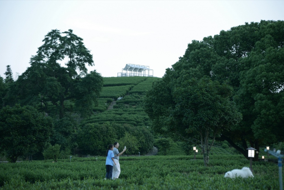 a floating pavilion on a tea mountain by youmu architects