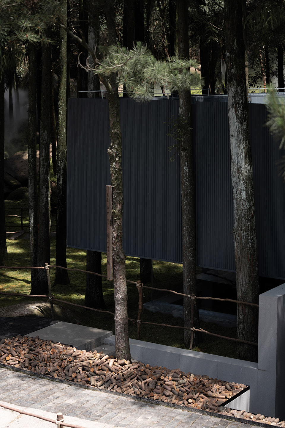 moj forest coffee by sisuo design
