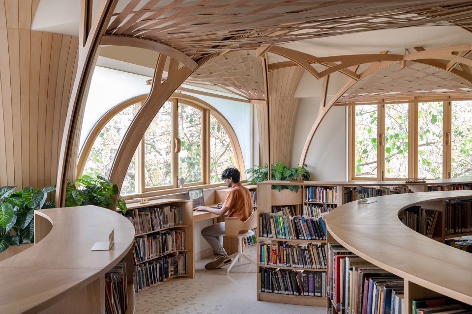 the forest of knowledge by studio hinge