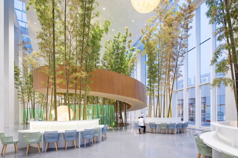 wuhan dongxihu cultural center by cadg daqiarchitects