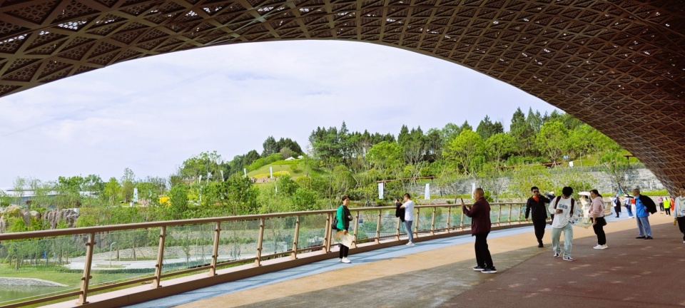 The Woven Bamboo Bridge