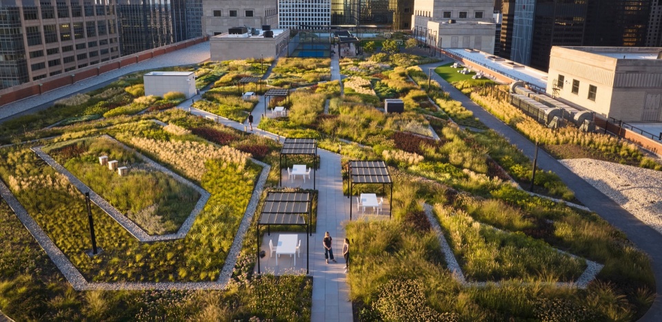 The Meadow at the Old Chicago Post Office by Hoerr Schaudt