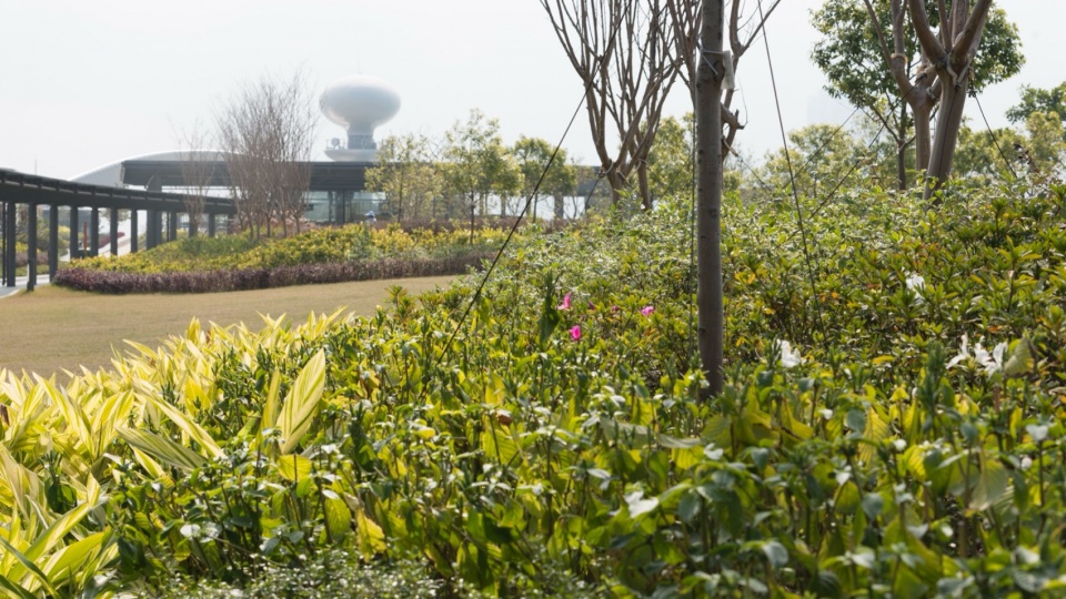 Kai Tak Cruise Terminal Foster Partners