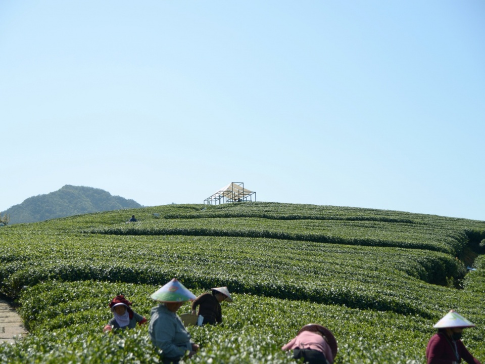 a floating pavilion on a tea mountain by youmu architects