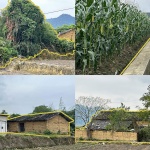 东游玉米驿站，福建 / 随坪一里