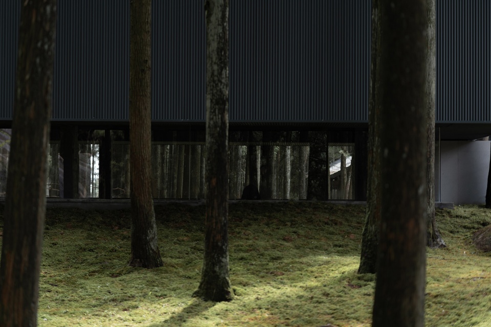 moj forest coffee by sisuo design