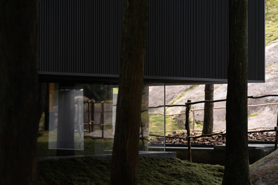 moj forest coffee by sisuo design