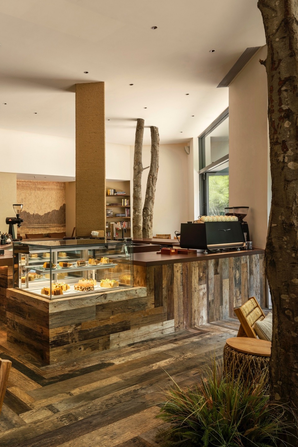 mr walden coffee by pure wild studio
