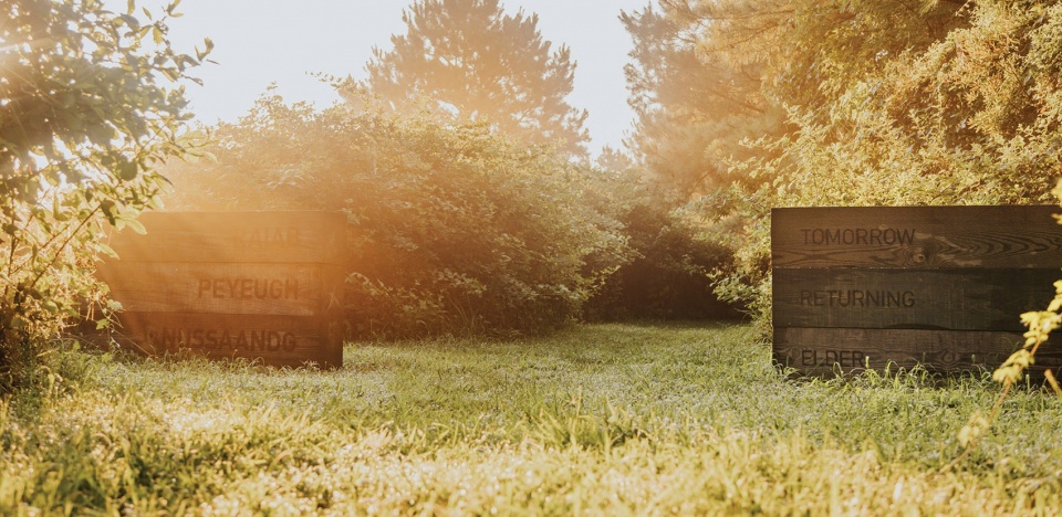 Connecting to Our Indigenous Histories at Machicomoco State Park by Nelson Byrd Woltz Landscape Architects
