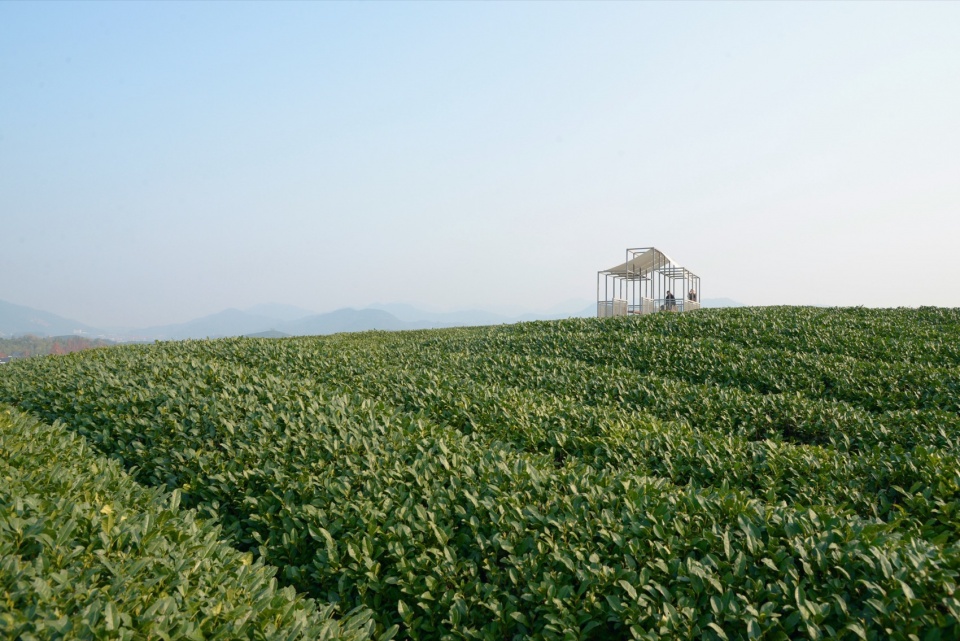 a floating pavilion on a tea mountain by youmu architects
