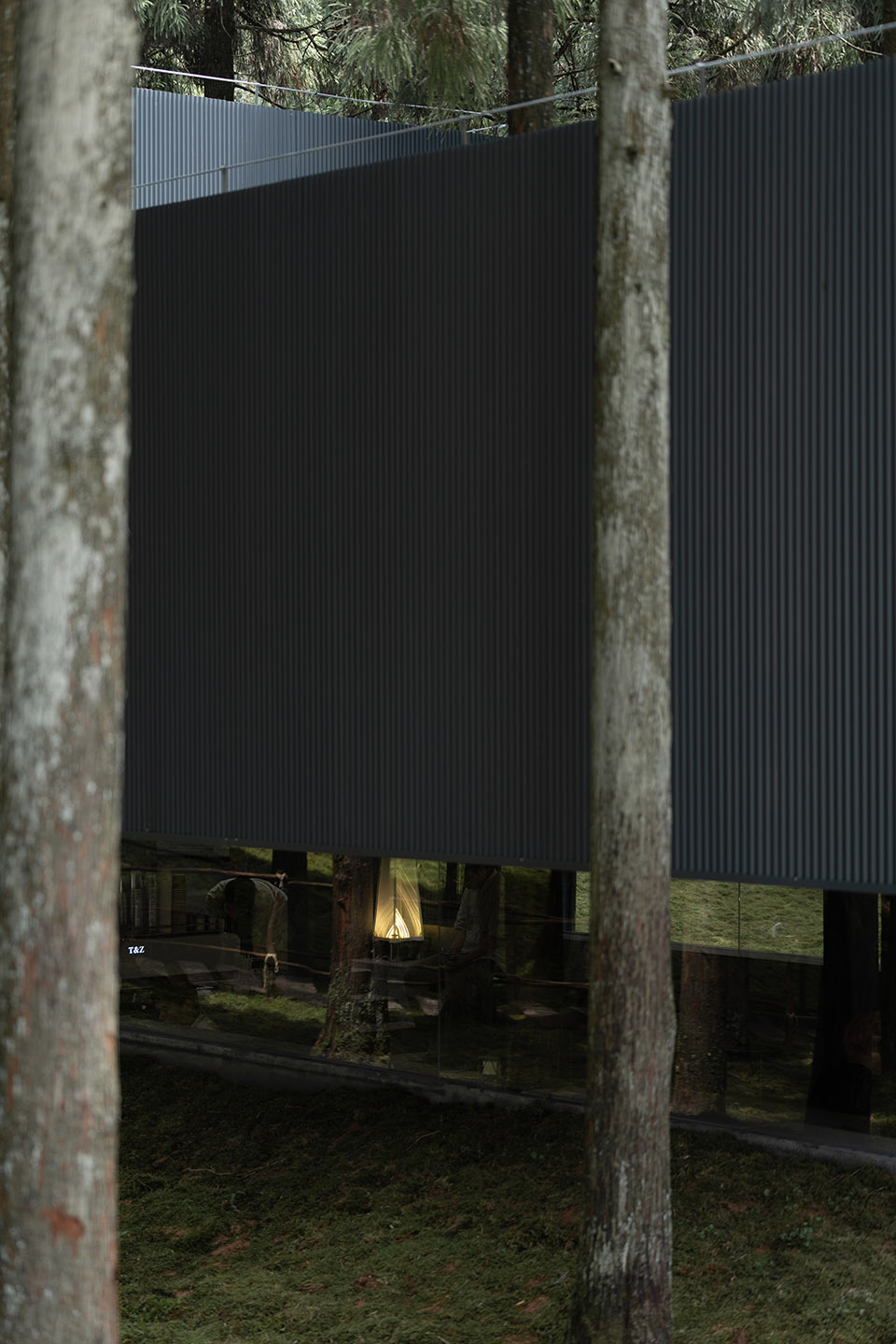 moj forest coffee by sisuo design