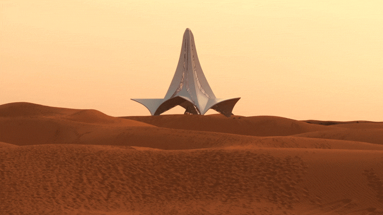 Desert Flower
