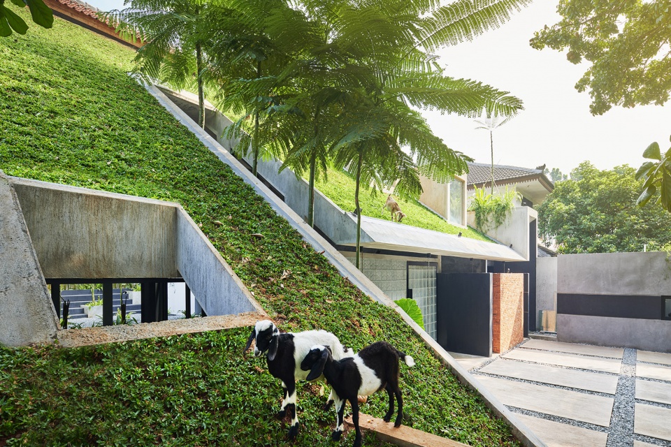 micro tropicality radar hq by radar
