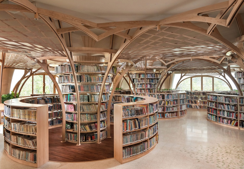 the forest of knowledge by studio hinge