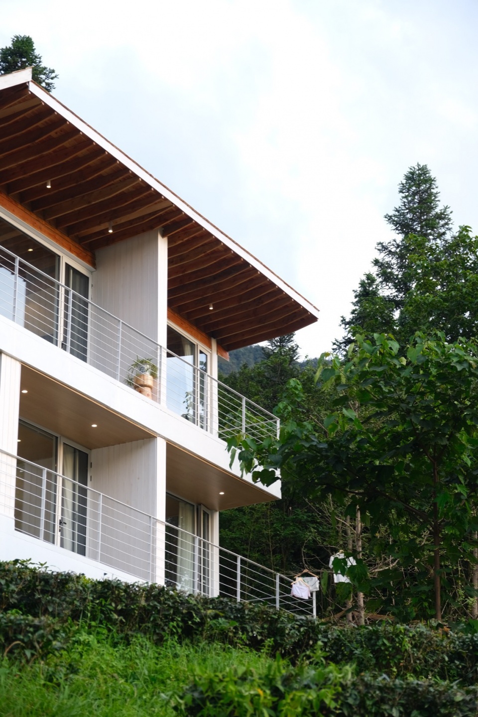 Huangzhuling Tea Fields Hotel in Ji’an e1735007521848