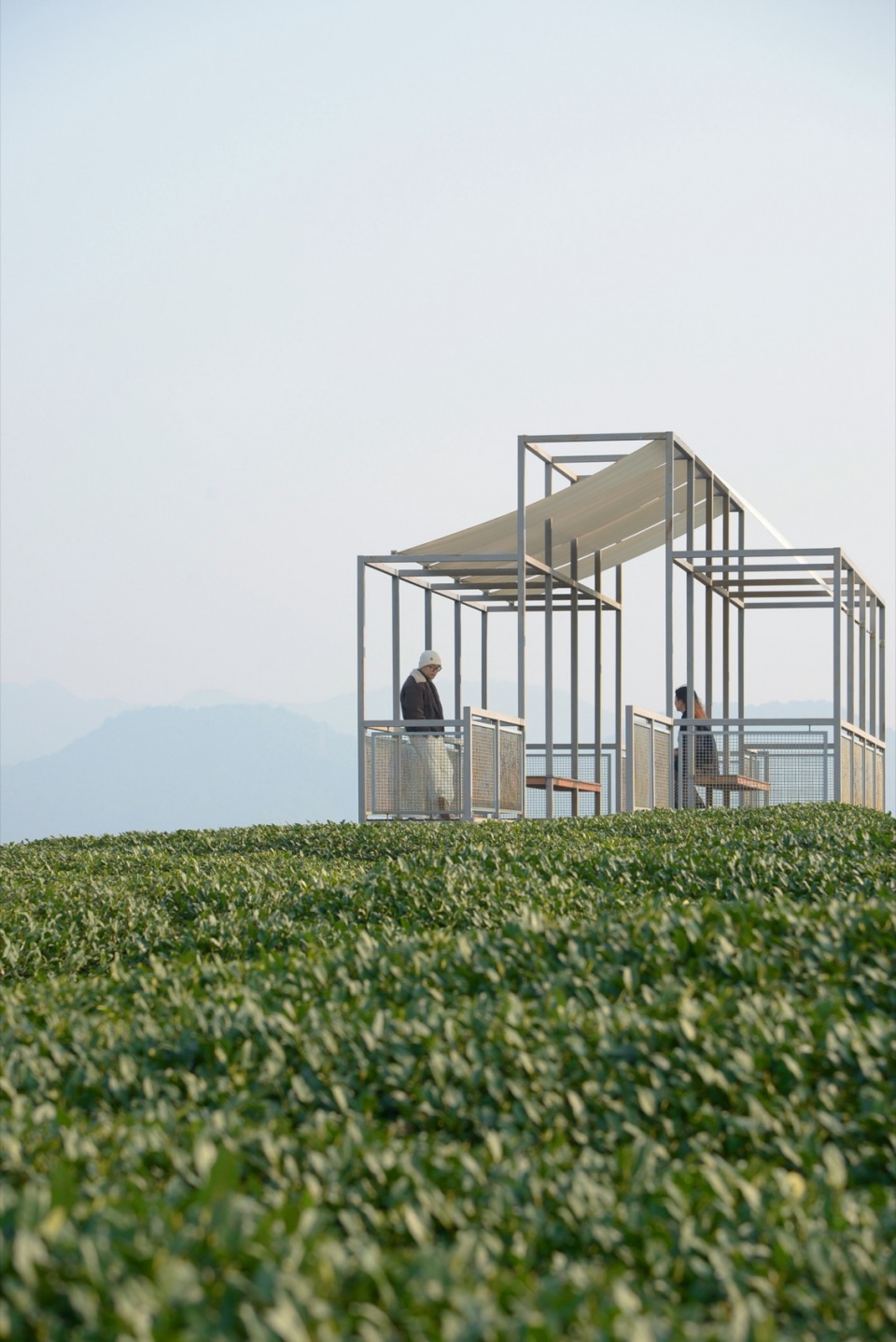 a floating pavilion on a tea mountain by youmu architects