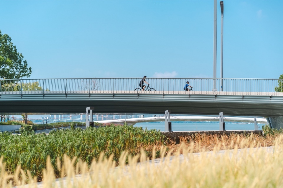 jinji lake landscape design by aecom
