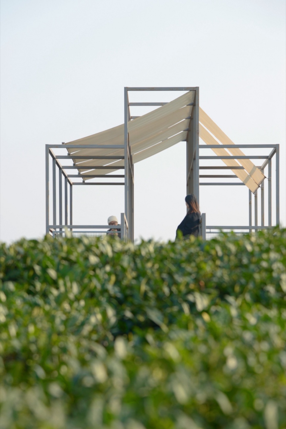 a floating pavilion on a tea mountain by youmu architects