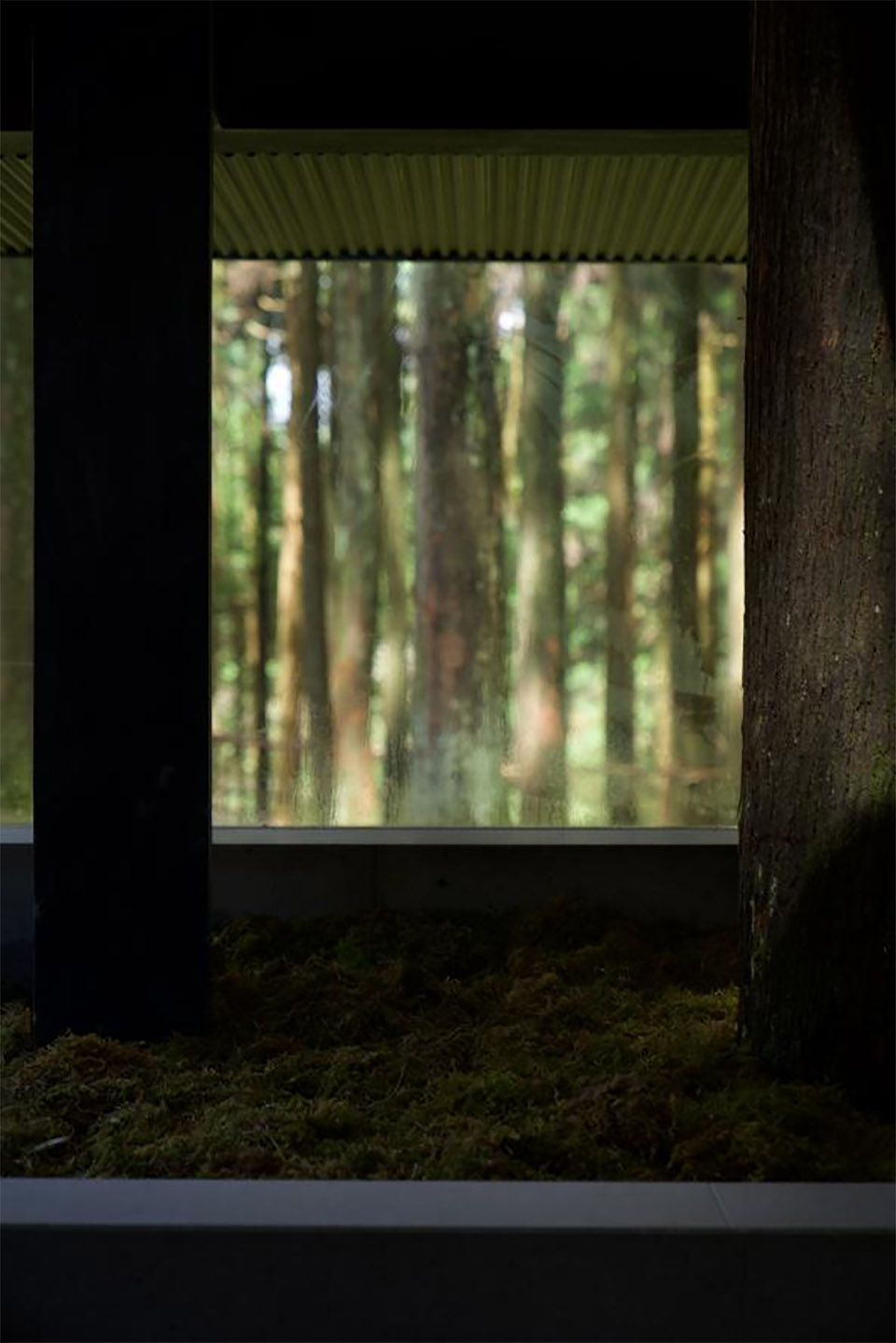 moj forest coffee by sisuo design
