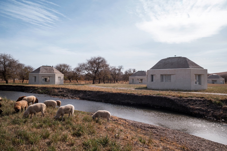straybirds suji prairie by studio qi