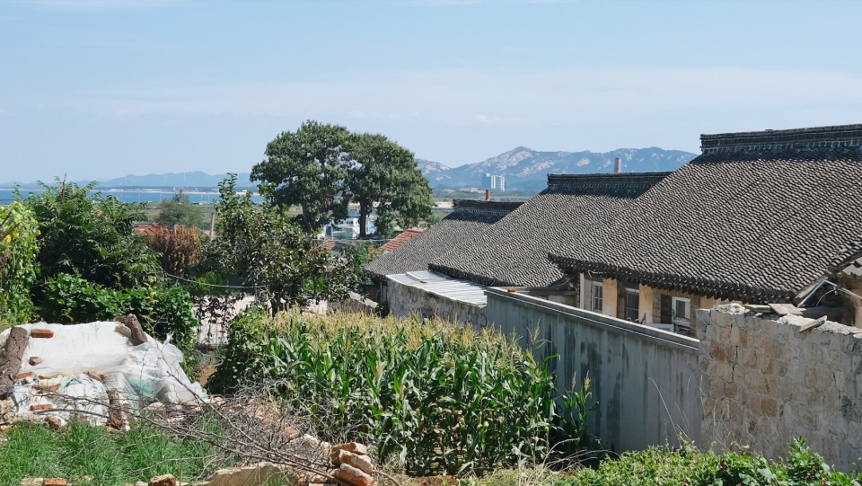 Bushe Boutique Hotel