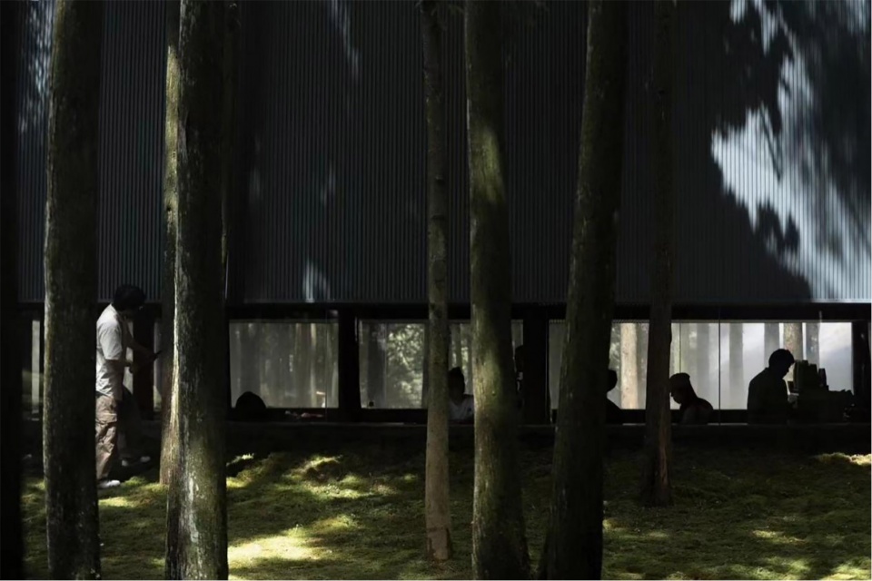 moj forest coffee by sisuo design