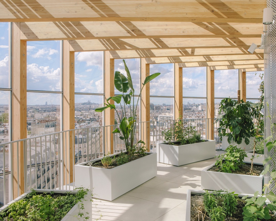 racine tower by maud caubet architectes