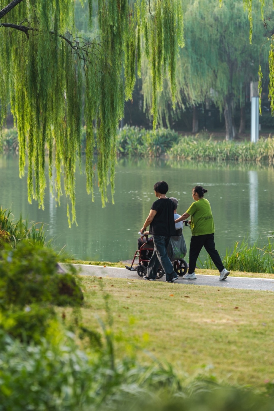 jinji lake landscape design by aecom