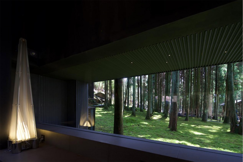 moj forest coffee by sisuo design