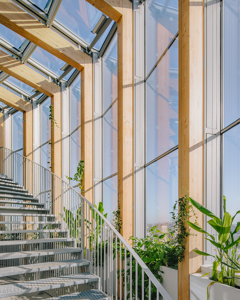 racine tower by maud caubet architectes