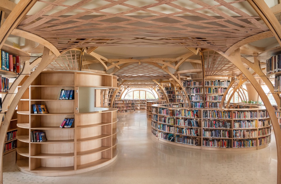 the forest of knowledge by studio hinge