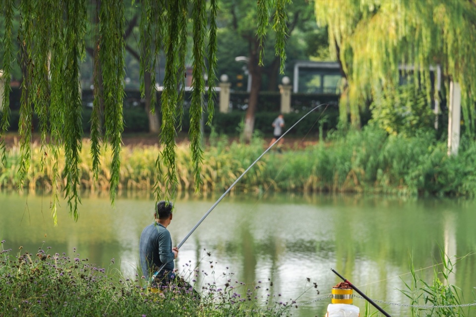 jinji lake landscape design by aecom