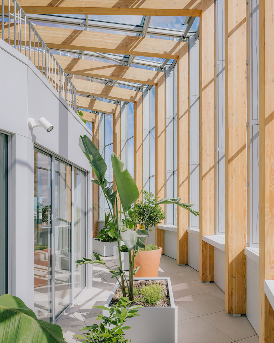racine tower by maud caubet architectes