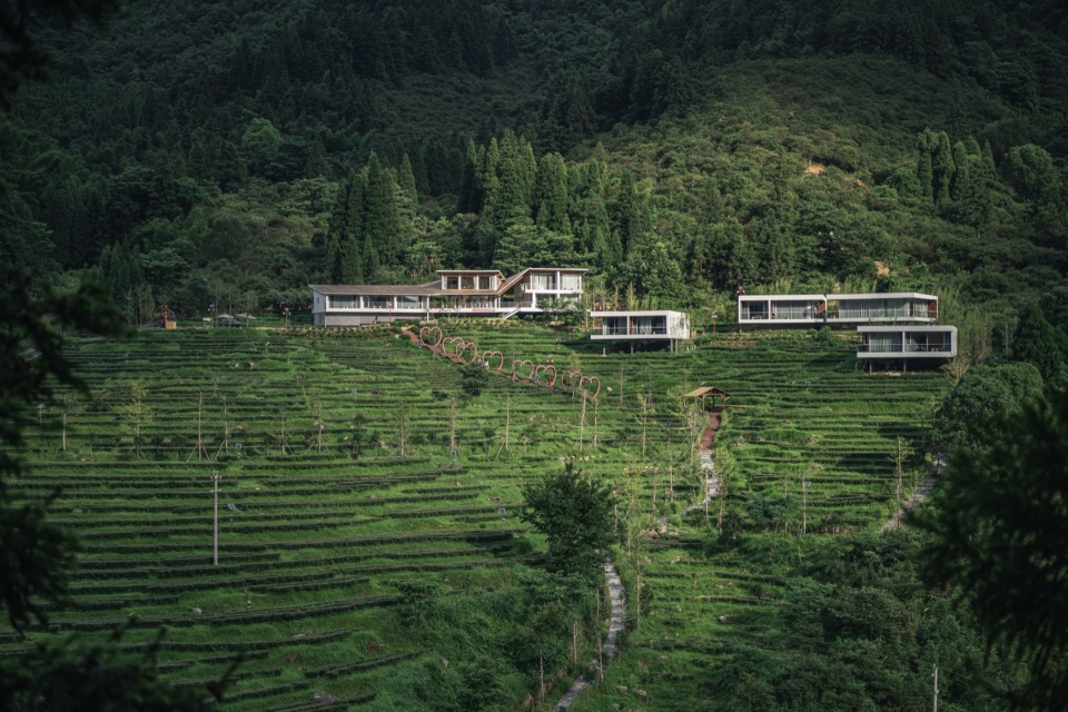 Huangzhuling Tea Fields Hotel in Ji’an
