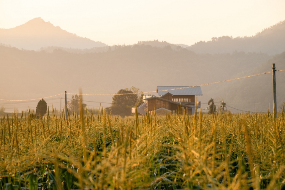 dongyou corn courier station by suipingyili architecture studio