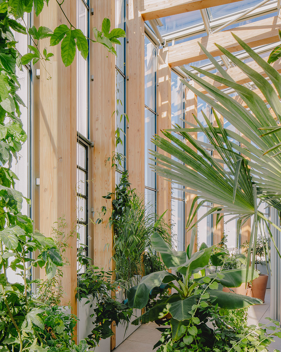 racine tower by maud caubet architectes