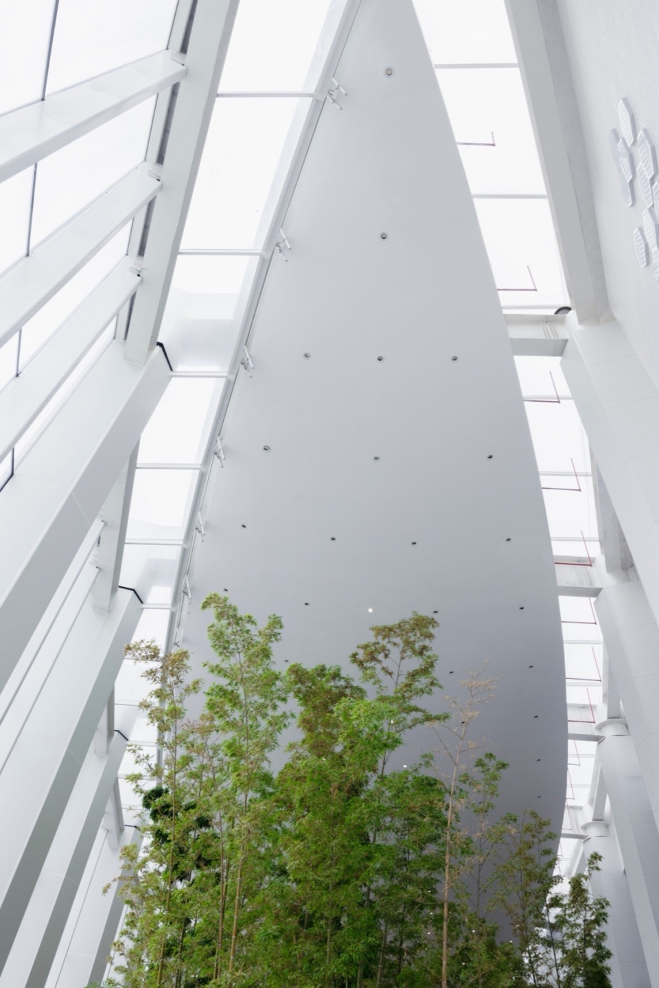 wuhan dongxihu cultural center by cadg daqiarchitects