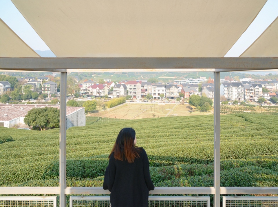 a floating pavilion on a tea mountain by youmu architects