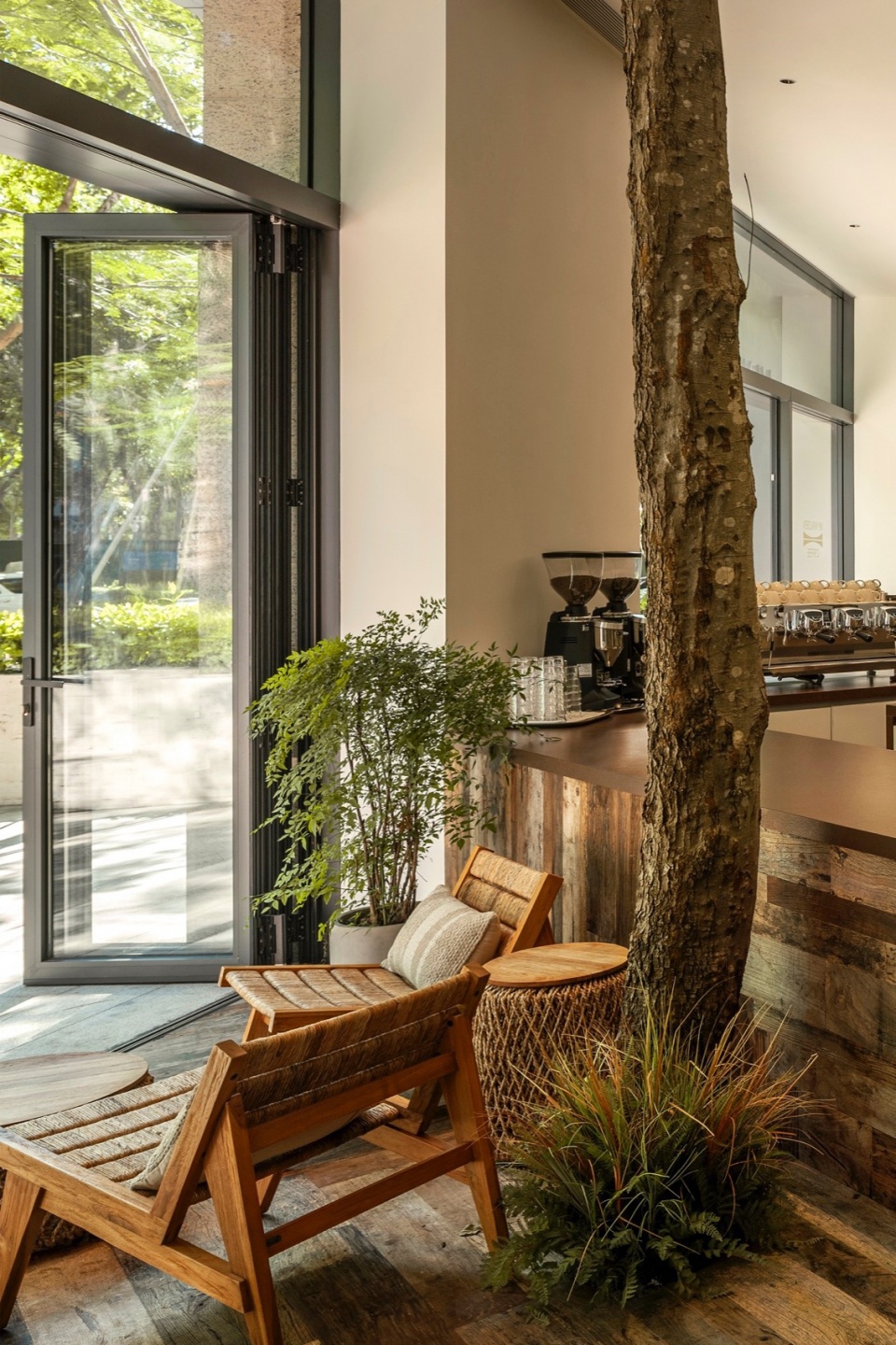 mr walden coffee by pure wild studio