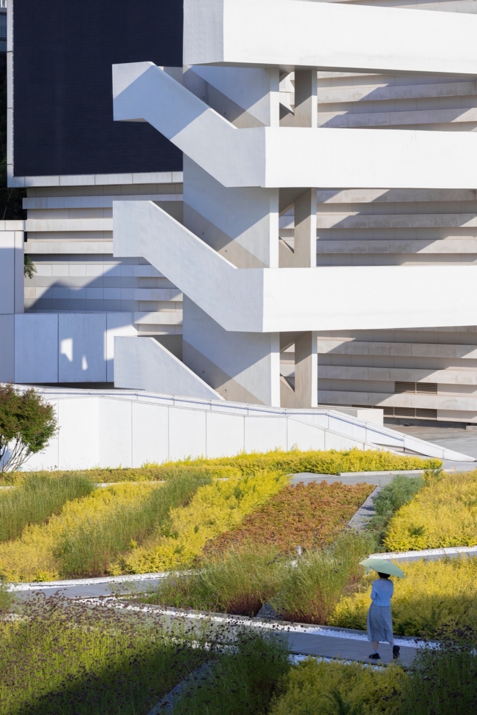 wuhan dongxihu cultural center by cadg daqiarchitects