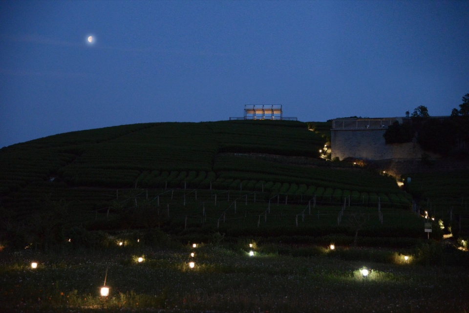 a floating pavilion on a tea mountain by youmu architects